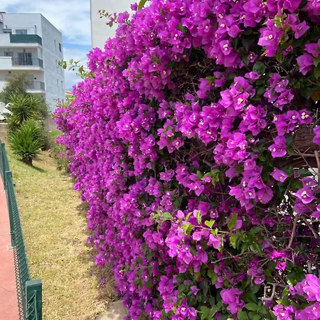 Amazing View On Miraflores